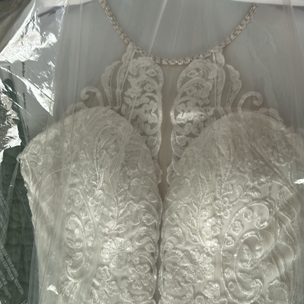 Gorgeous Stella York Wedding Gown - Picture 10 of 16